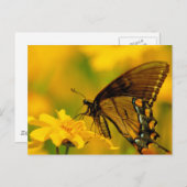 軟着陸 ポストカード (正面/裏面)