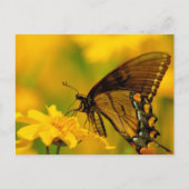 軟着陸 ポストカード (正面)