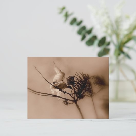 軟着陸 ポストカード (スタンド正面)