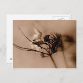 軟着陸 ポストカード (正面/裏面)