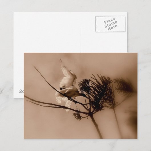 軟着陸 ポストカード (正面/裏面)