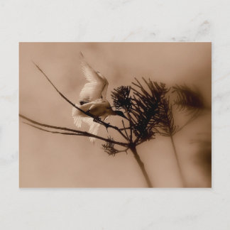 軟着陸 ポストカード