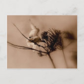 軟着陸 ポストカード (正面)