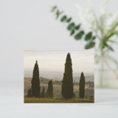 転がの風景，トスカーナ，イタリア2 ポストカード (スタンド正面)