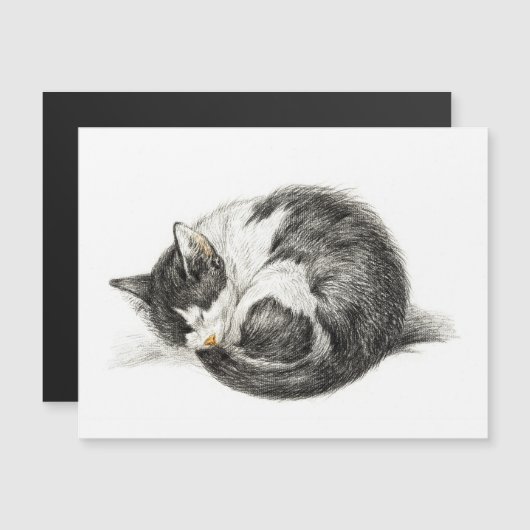 転が寝猫（1825年） (正面/裏面)