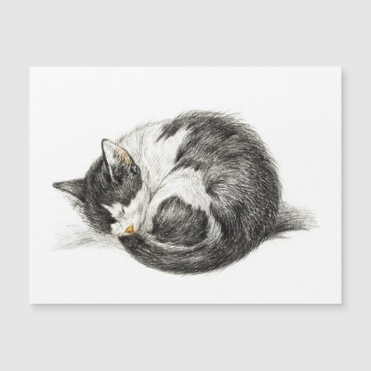 転が寝猫（1825年） (正面)