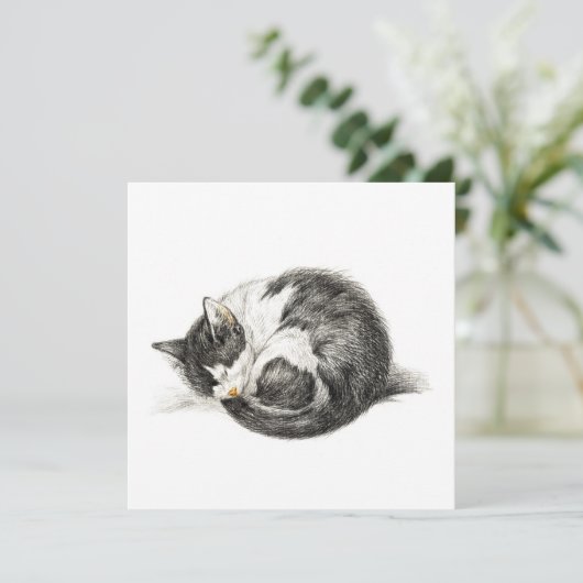 転が寝猫（1825年） (スタンド正面)