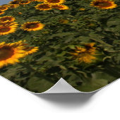 転が花 ポスター (角)