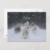 転が雷 ポストカード (正面/裏面)