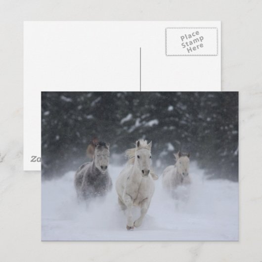 転が雷 ポストカード (正面/裏面)