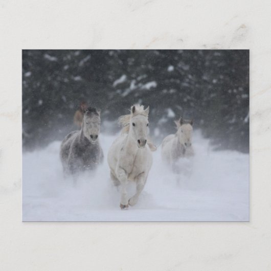 転が雷 ポストカード (正面)