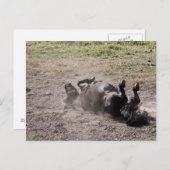 転が馬 ポストカード (正面/裏面)