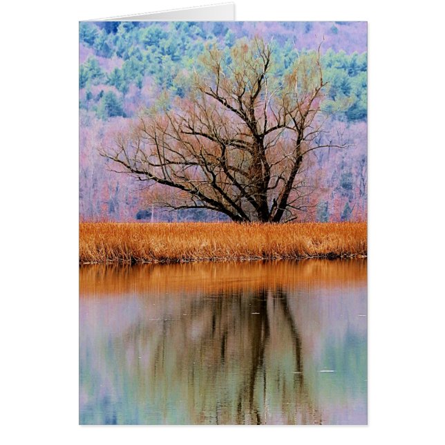 転移の木 (正面)