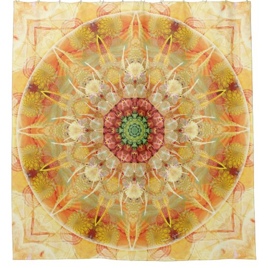 転移12のシャワー・カーテンの時の曼荼羅 シャワーカーテン (正面)