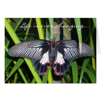 転移、生命変更