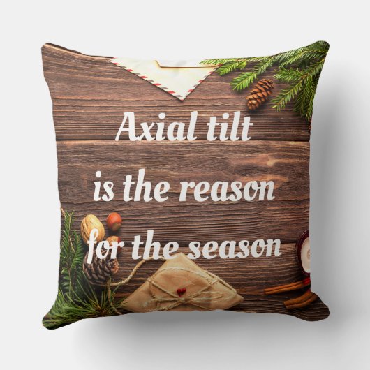 "軸の傾きが季節の理由"枕 クッション (裏面)