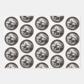 軸外ヴィンテージイラストレーション ラッピングペーパーシート (正面2)