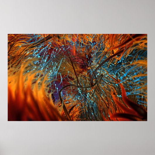 軸索 ポスター (正面)