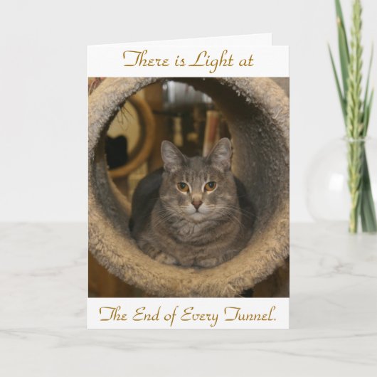 軽いですがで、あらゆるTの終わり…あります カード (正面)