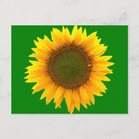 軽いはがきの象徴 ポストカード (正面)