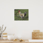 軽いサセックスのクロスコックレル ポスター (キッチン)