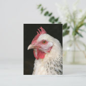 軽いサセックス鶏はがき ポストカード (スタンド正面)