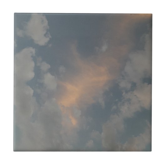 軽いセラミックタイルを置く タイル (正面)