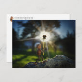 軽いタンポポとacorn小妖精や小人 ポストカード (正面/裏面)