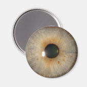 軽いハシバミ目 マグネット (正面/裏面)