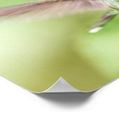 軽いハミングバードが枝に着陸 ポスター (角)