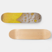 軽いビールフォーム スケートボード (横)