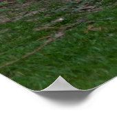 軽いブラフマ・ヘン ポスター (角)