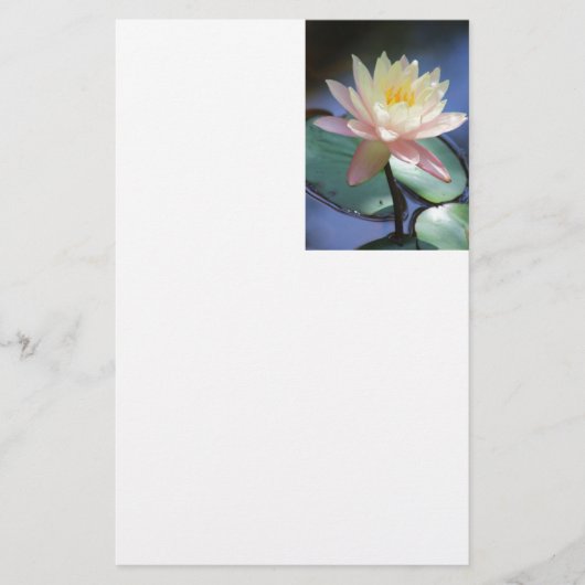 軽い反射 便箋 (正面)