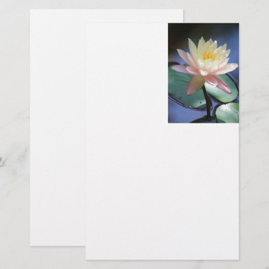 軽い反射 便箋 (正面/裏面)