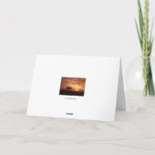 軽い同情ウマ科のカード カード (裏面)