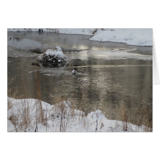 軽い増加 (正面横)