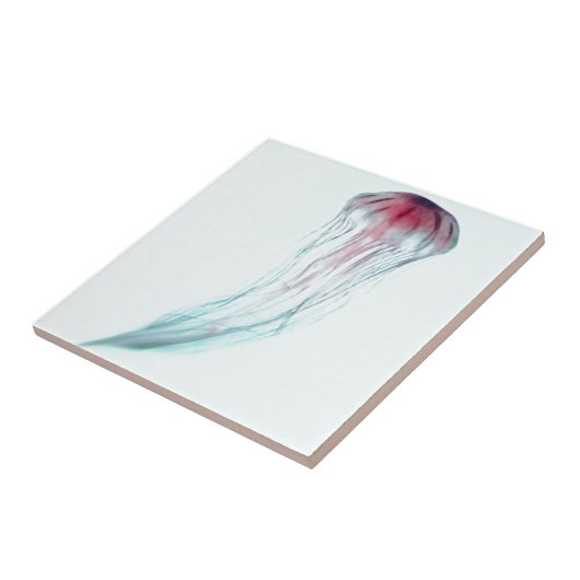 軽い水の青緑のピンクのくらげ タイル (側面)