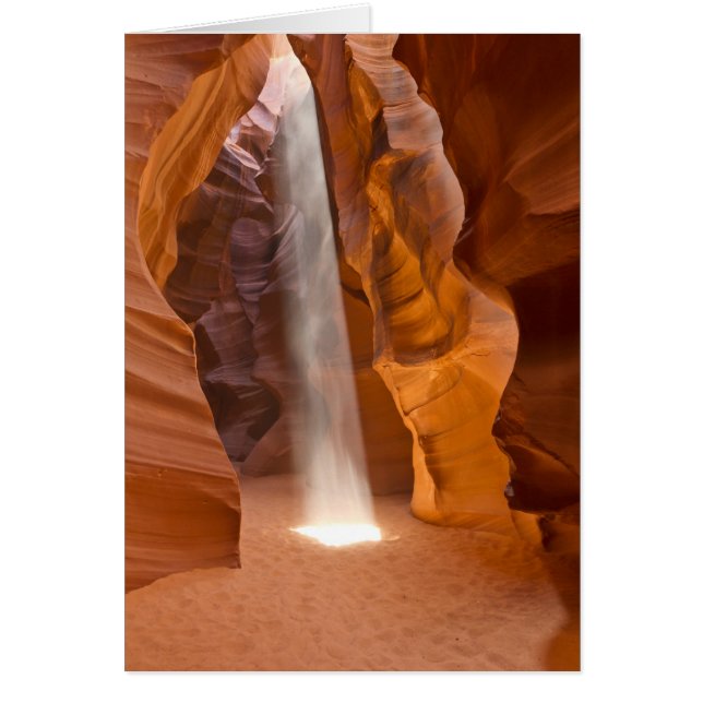 軽い輝やきを許可して下さい (正面)