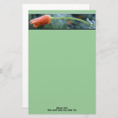 軽い霜のカリフォルニアポピーパーソナライズされた 便箋 (正面/裏面)