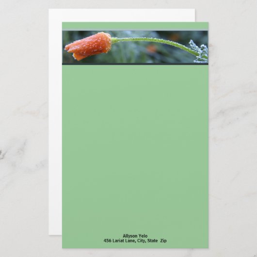 軽い霜のカリフォルニアポピーパーソナライズされた 便箋 (正面/裏面)