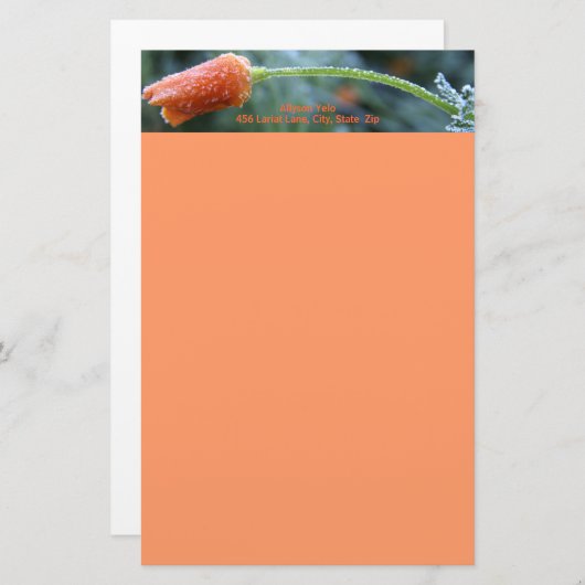 軽い霜のカリフォルニアポピー 便箋 (正面/裏面)