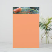 軽い霜のカリフォルニアポピー 便箋 (スタンド正面)