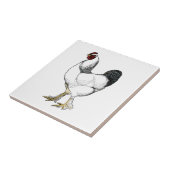 軽いBrahmaのオンドリのヴィンテージのスタイルの農場の台所 タイル (側面)