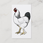 軽いBrahmaのオンドリのヴィンテージの国のクラシック 名刺 (裏面)