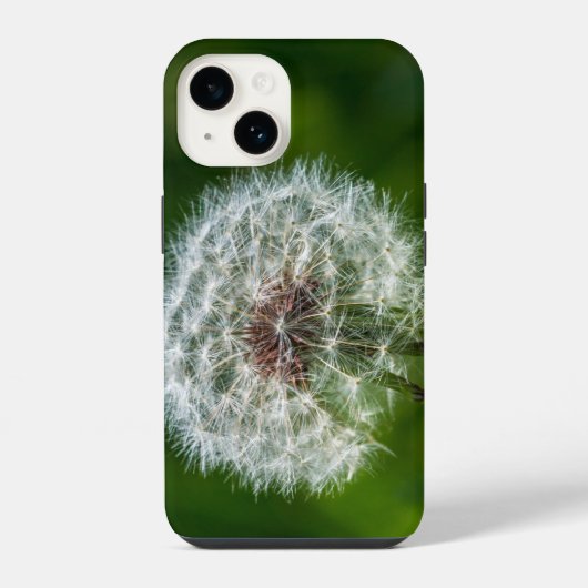 軽いiPhoneケースにタンポポ iPhoneケース (裏面)