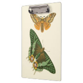 軽く縁どられた蝶絵画 クリップボード (左)