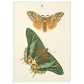 軽く縁どられた蝶絵画 クリップボード (裏面)