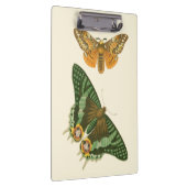 軽く縁どられた蝶絵画 クリップボード (右)
