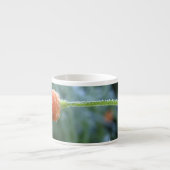 軽く霜の降りたカリフォルニアのポピー写真 エスプレッソカップ (正面)