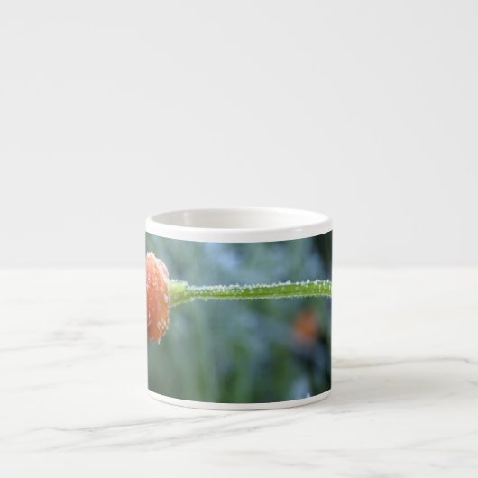 軽く霜の降りたカリフォルニアのポピー写真 エスプレッソカップ (正面)